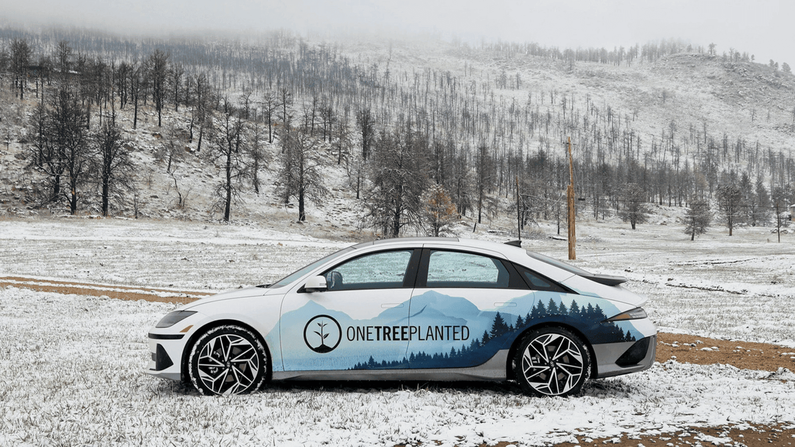 Hyundai and One Tree Planted: Together for a Greener Future