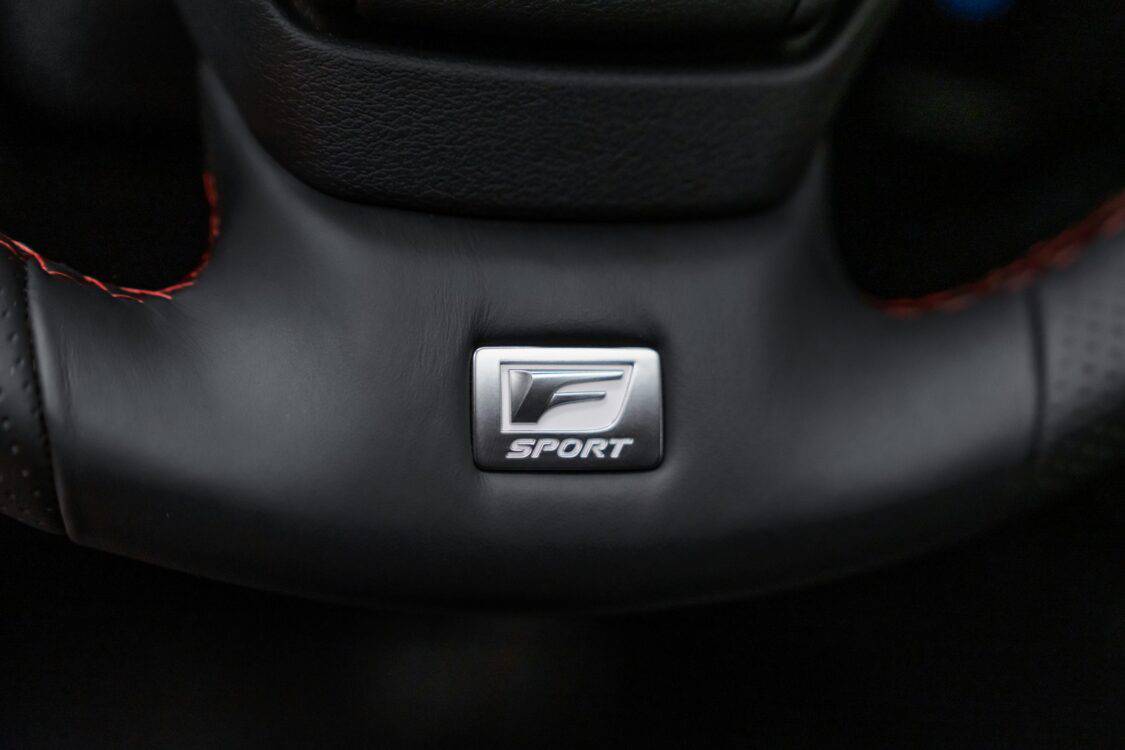 2024 Lexus UX 250h interior, F Sport steering wheel