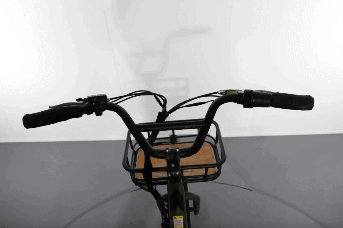Rad Power RadRunner 2: A Versatile and Stylish E-Bike