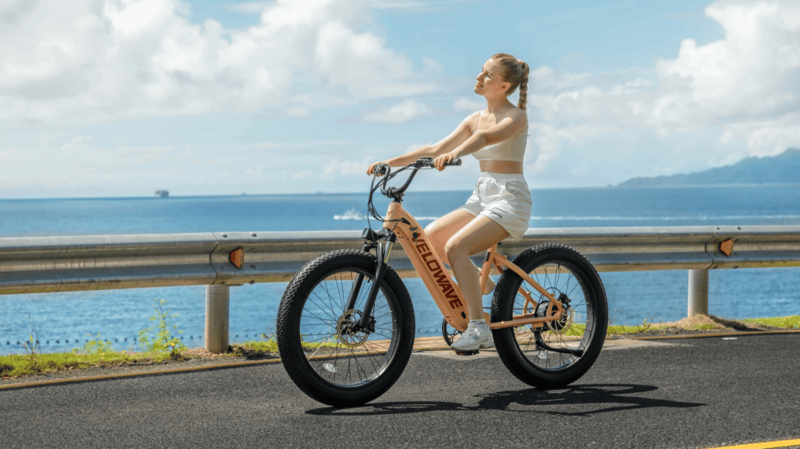 What is an electric bike e-bike Veloware Rover Step-Thru Electric Bike