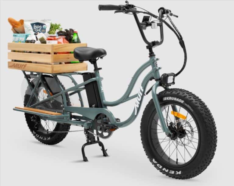 Picture of The Murf Higgs Cargo E-Bike: 750W Motor, 20