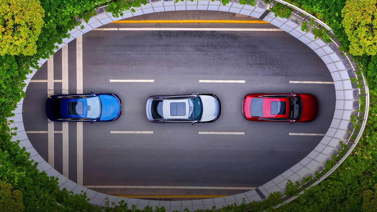 3 BYD vehicles aerial view through round treed opening to view road, may be soon manufactured in Mexico.