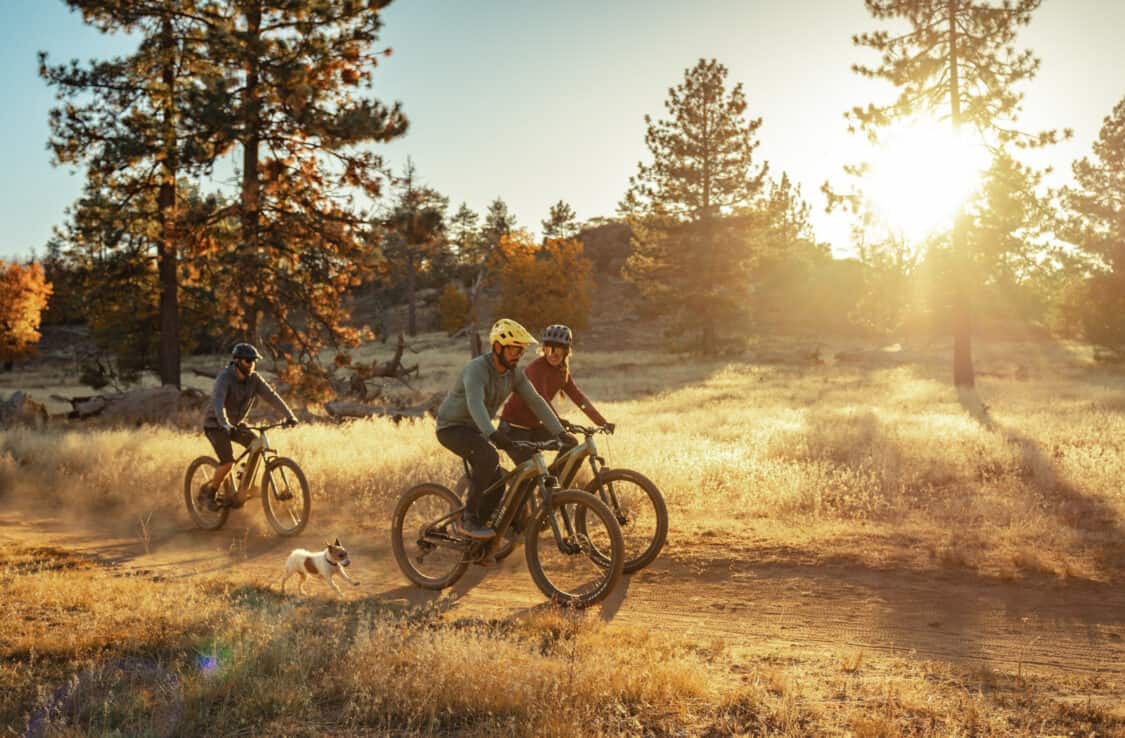 Three cyclists on Aventon Ramblas mid-motor electric mountain bikes, and a small white dog with a brown spot on its back are enjoying a trail ride in a forest during golden hour. The sun is setting in the background, casting a warm glow and long shadows across the scene. The cyclists, one wearing a yellow helmet, another a black helmet, and the other in a black helmet, are riding side by side on mountain bikes through the grassy terrain. Tall pine trees and rugged terrain surround them, creating a serene and adventurous atmosphere.