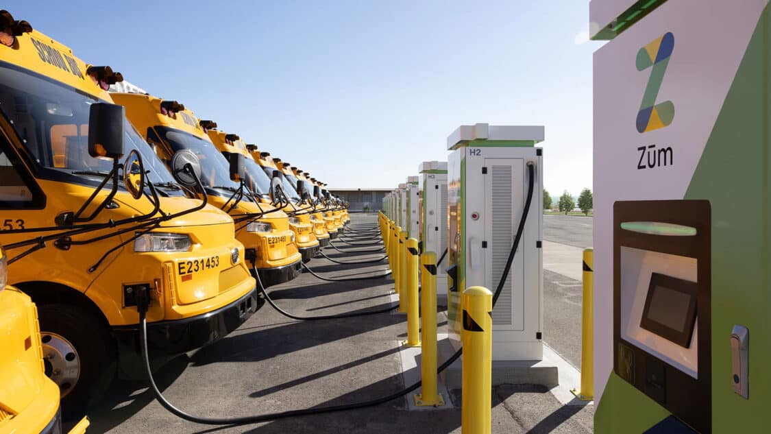 Electric school busses on the left, Zum chargers on the right, looking down the middle of a long row