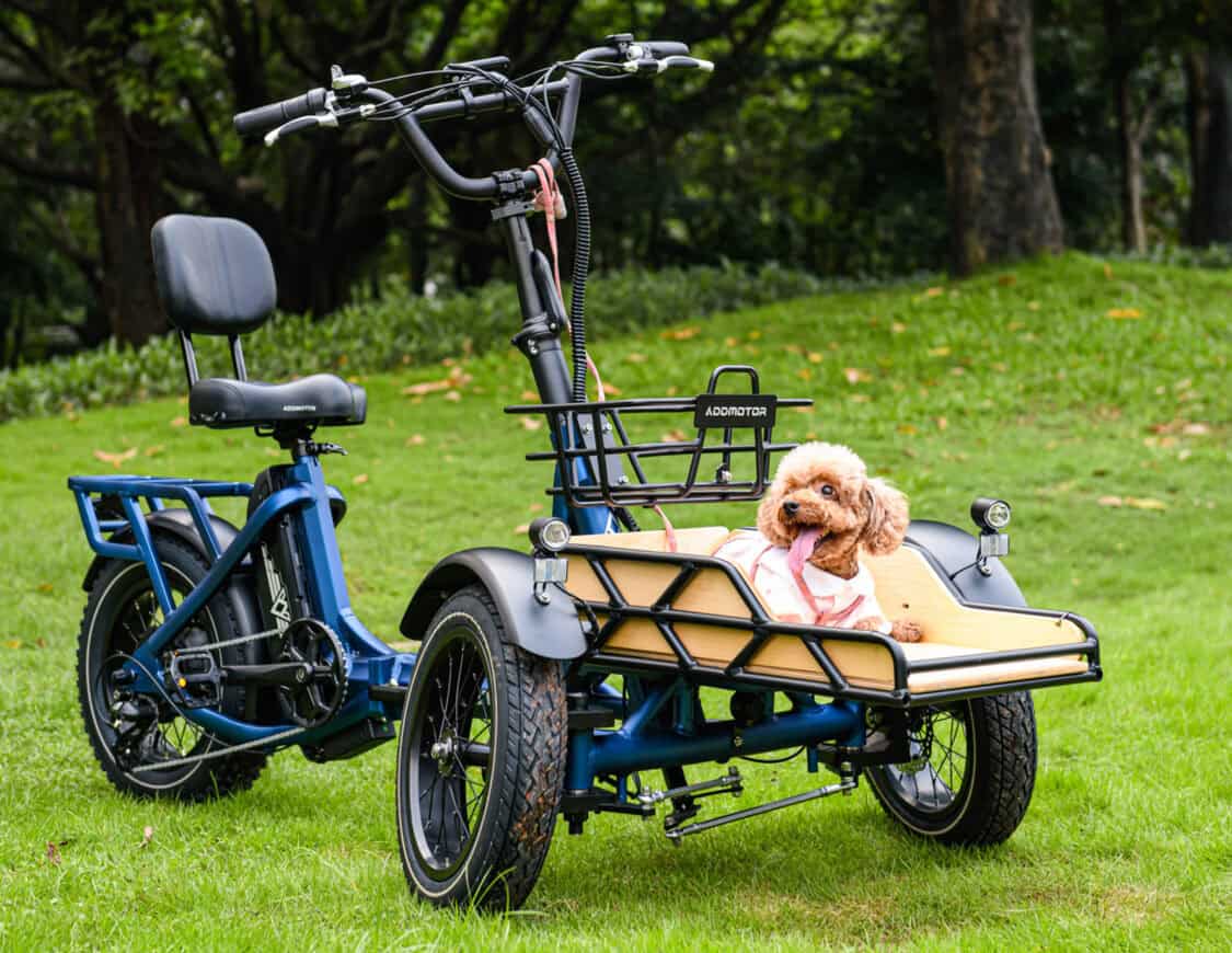 Addmotor Spytan Electric Trike for Adults in blue with dog