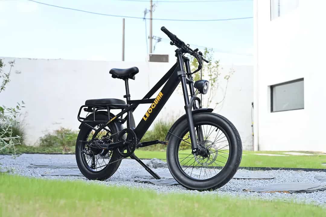 Sprint Fat Tire Utility Ebike main profile