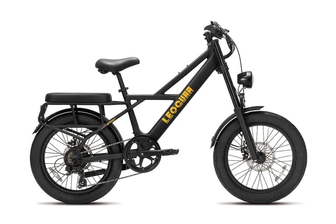 Sprint Fat Tire Utility Ebike side profile