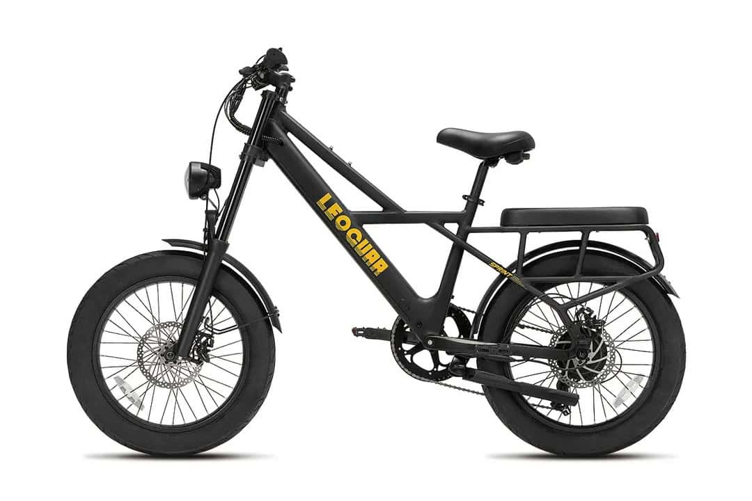 Sprint Fat Tire Utility Ebike side profile