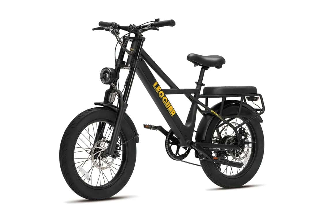 Sprint Fat Tire Utility Ebike front profile