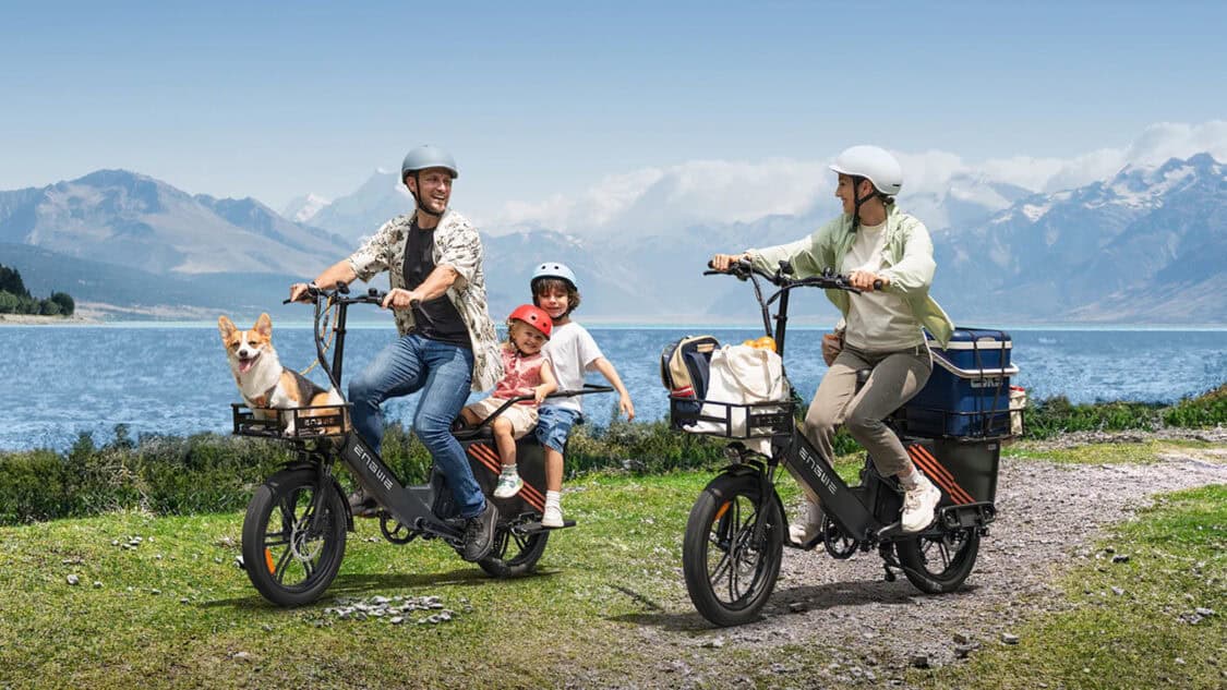 ENGWE LE20 electric cargo bike